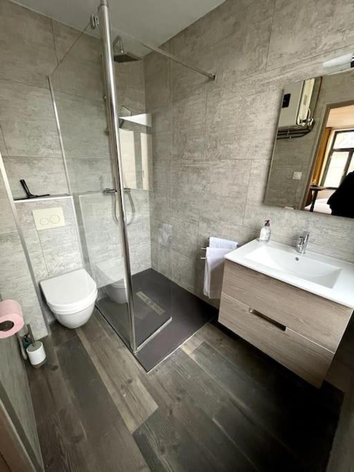 Cosy Studio Lumineux Metz Hypercentre Екстериор снимка